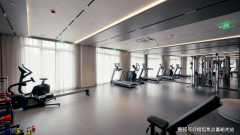 10-11层低密度花圃洋房