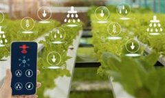 <b>焦炭行业一直取全球工业密交错</b>